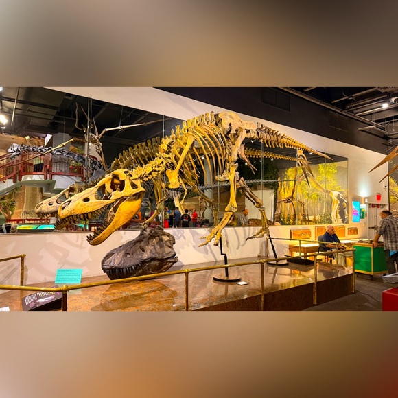 Meet your Posher, Kristen - Picture 1 of 1